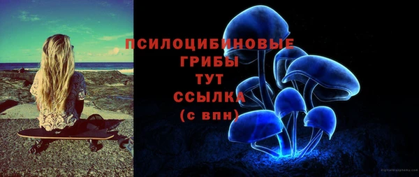 МДПВ Абаза