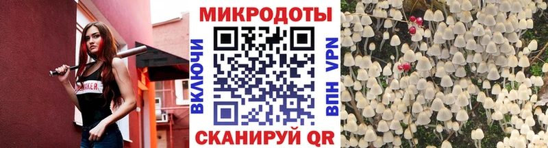 Псилоцибиновые грибы Magic Shrooms  Александровск-Сахалинский 